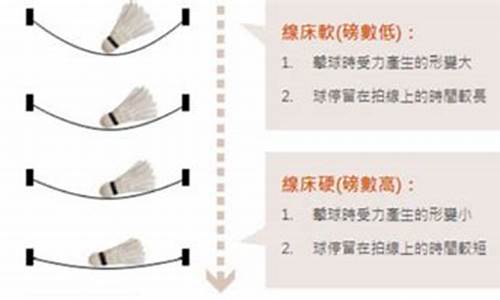 羽毛球拍磅数的选择38_羽毛球拍磅数的选择和重量