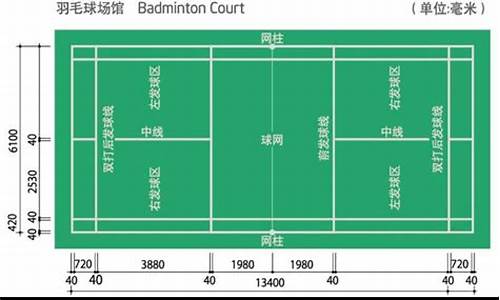 羽毛球场地尺寸标准尺寸图多少平方_羽毛球场地尺寸 标准