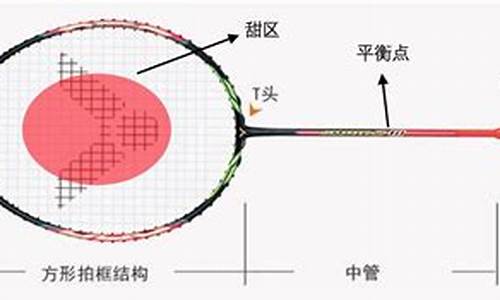 怎样选羽毛球拍比较适合_怎样选羽毛球拍比较适合新手用